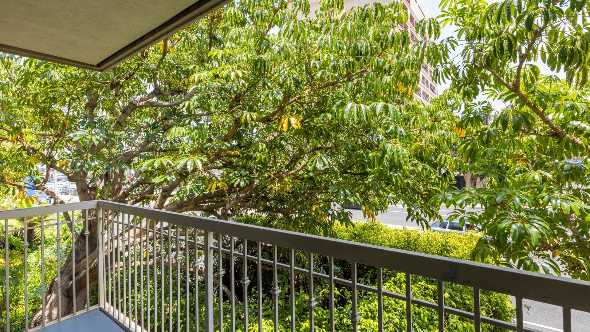 Pearl Apartments 1 of 8