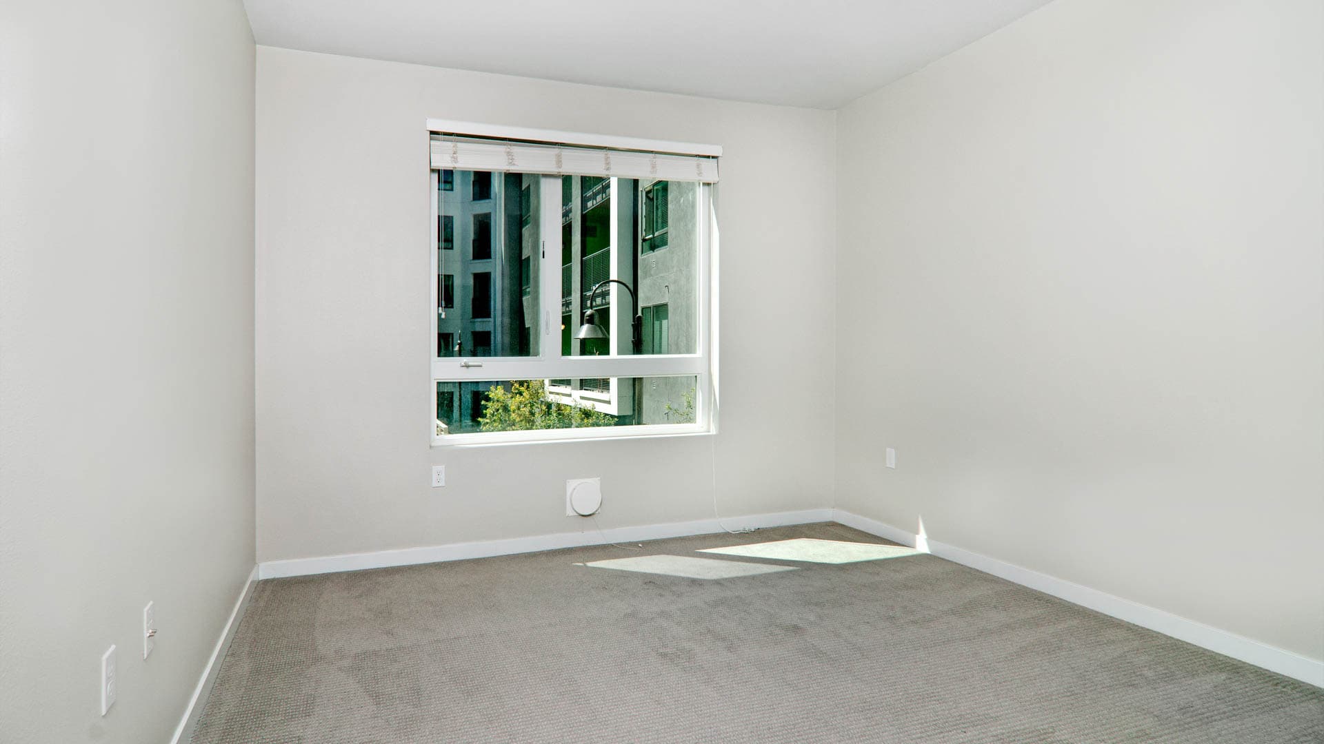 The Lex Apartments 3 of 15