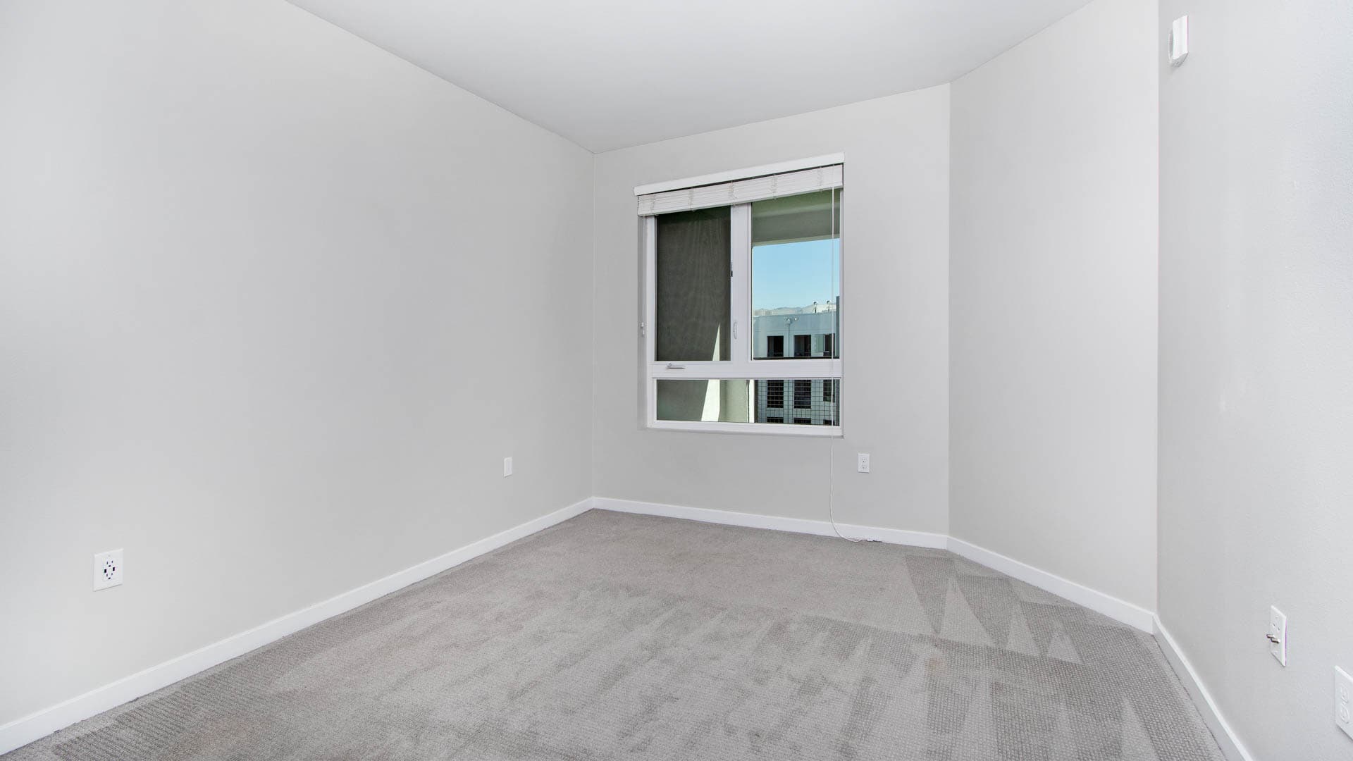 The Lex Apartments 3 of 8