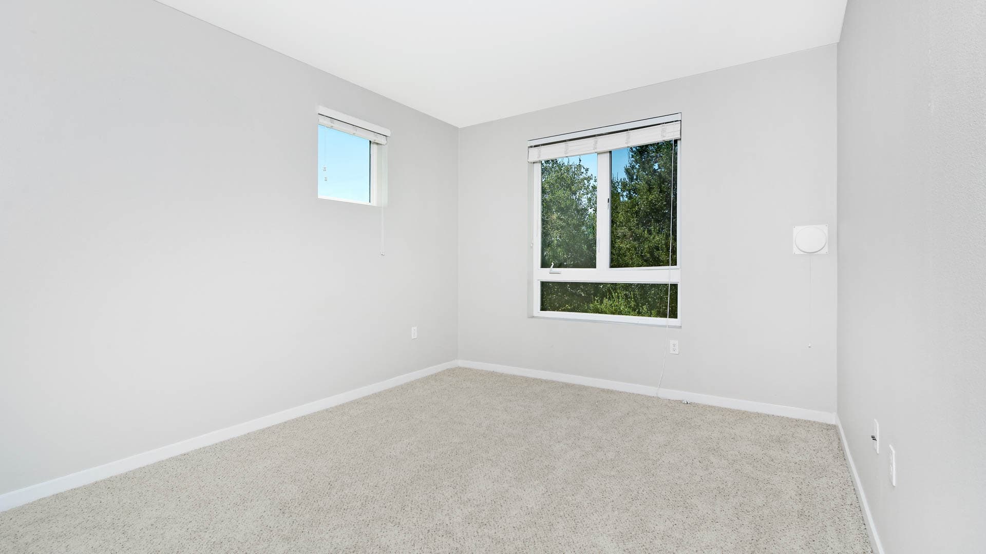 The Lex Apartments 3 of 12