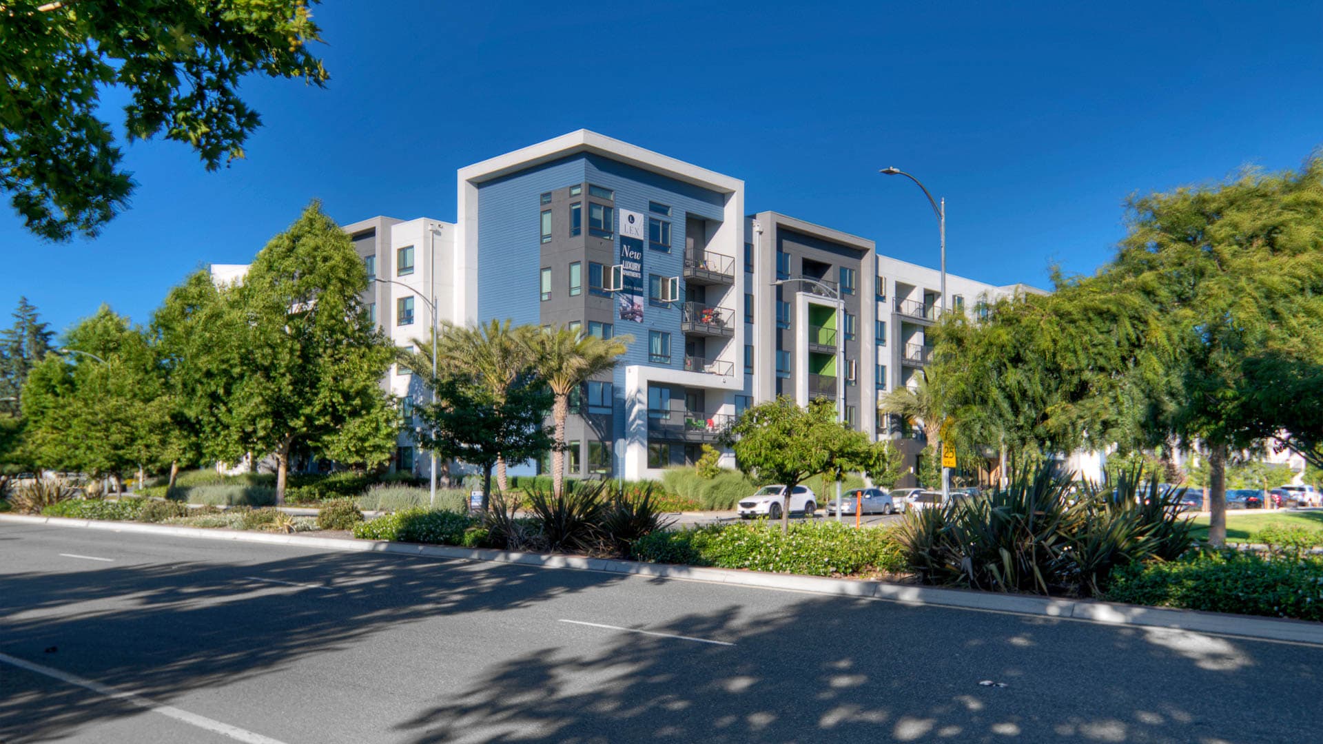 The Lex Apartments 2 of 8