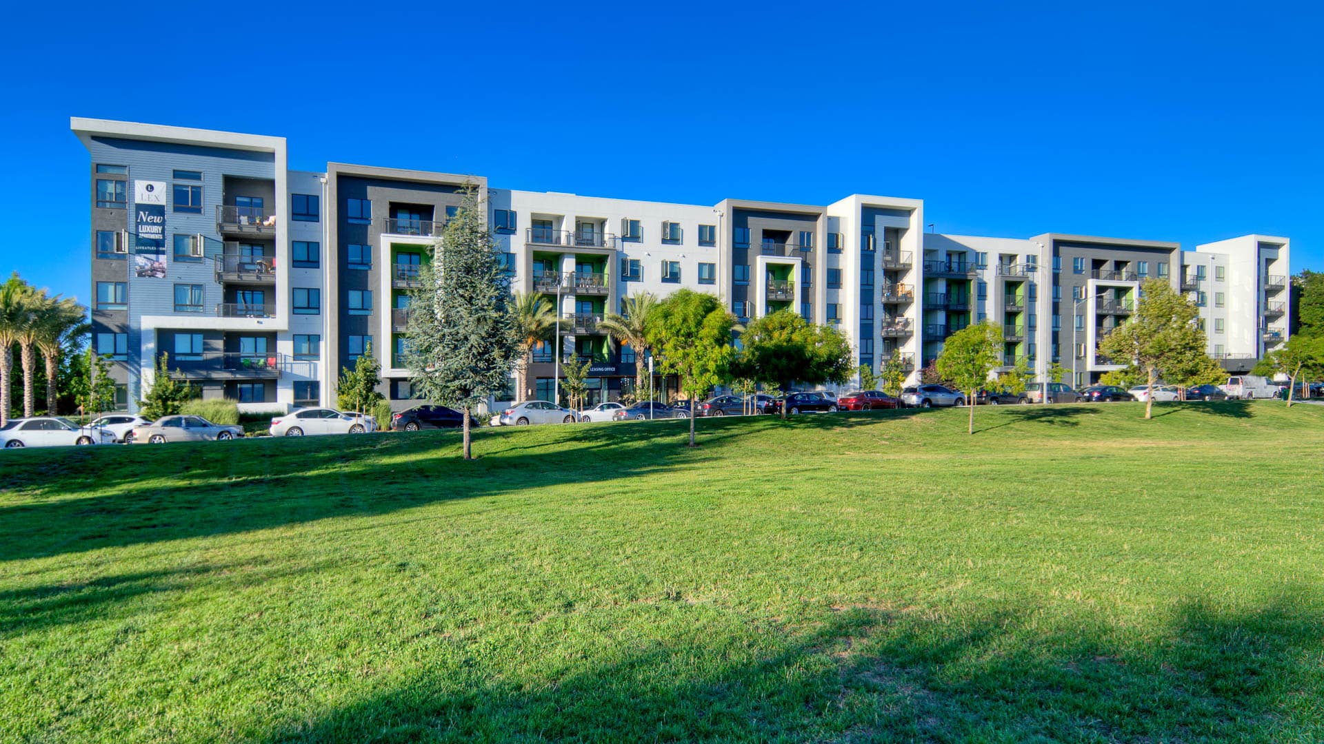 The Lex Apartments 3 of 8