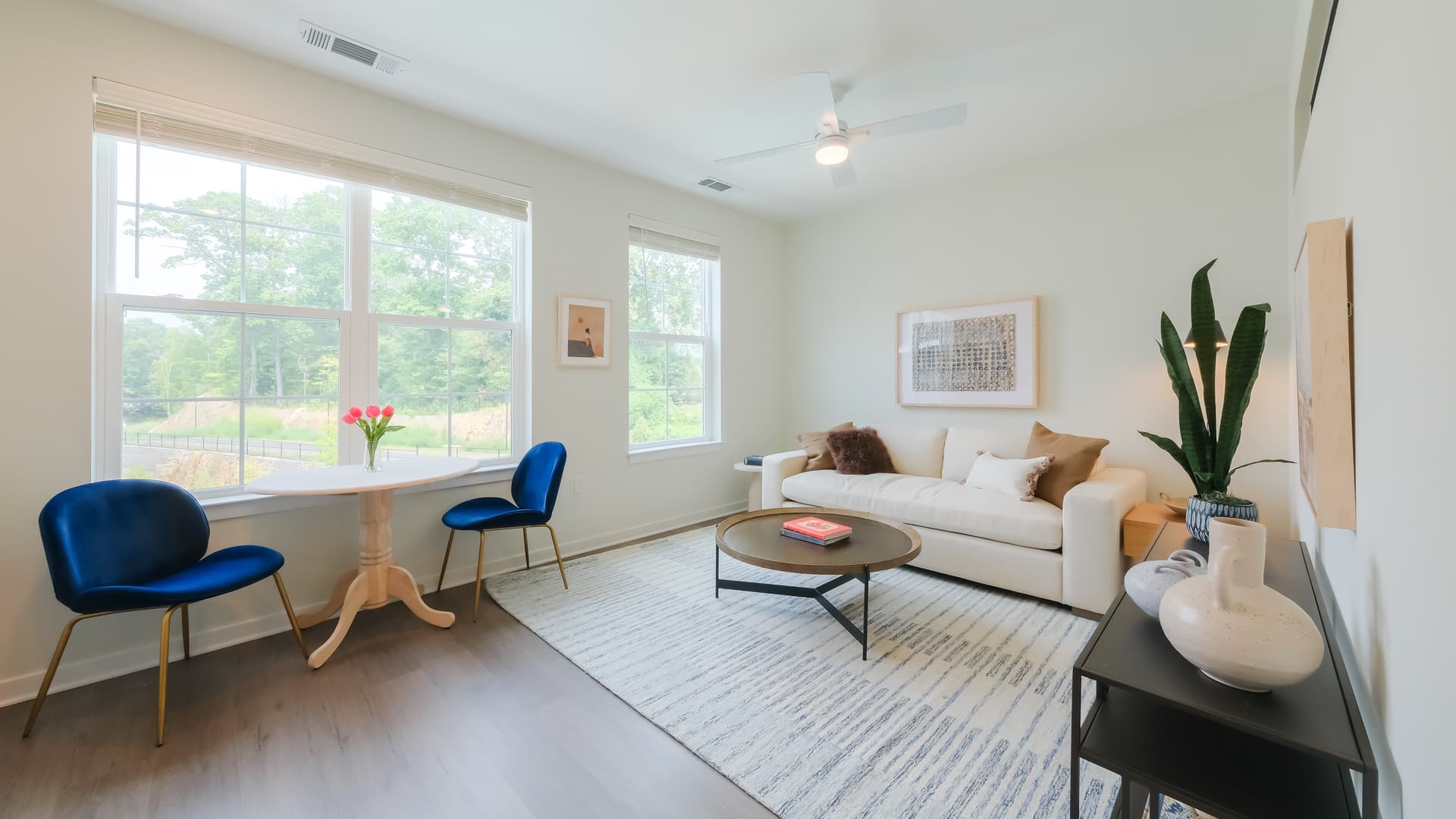 Alexan Harrison Apartments 21 of 120