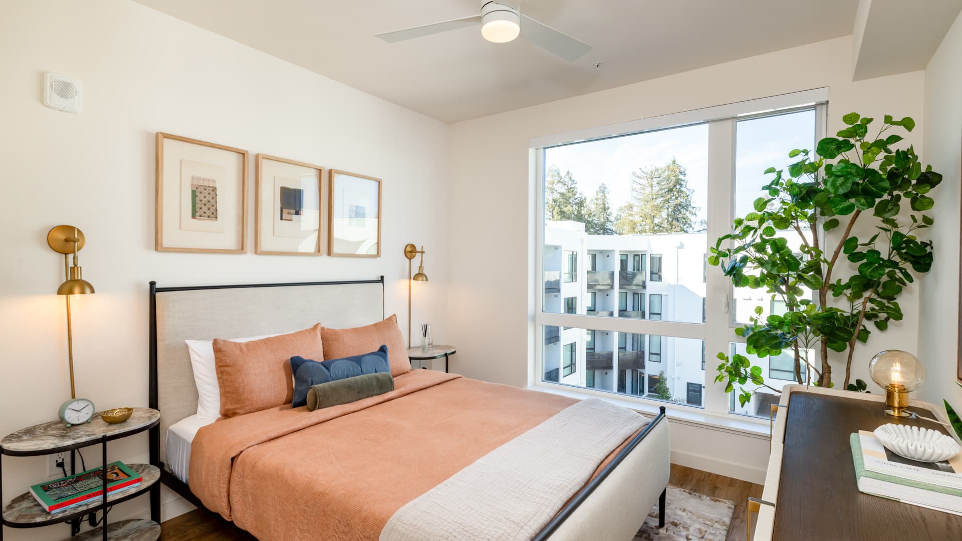Lorien Ivy Apartments 5 of 8