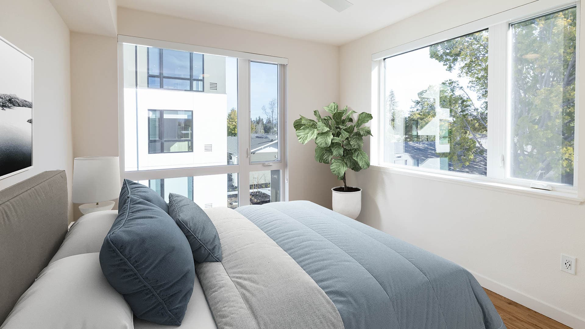 Lorien Ivy Apartments 9 of 11