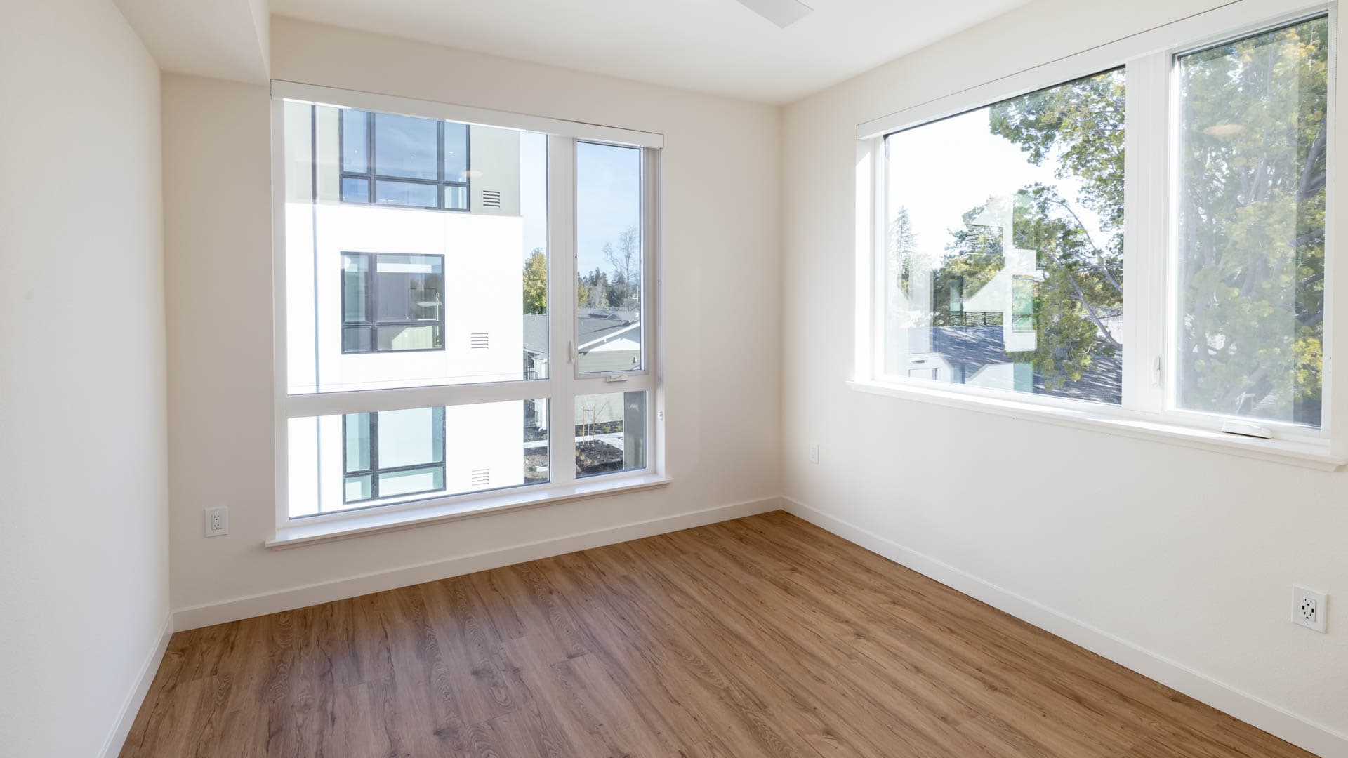 Lorien Ivy Apartments 5 of 11
