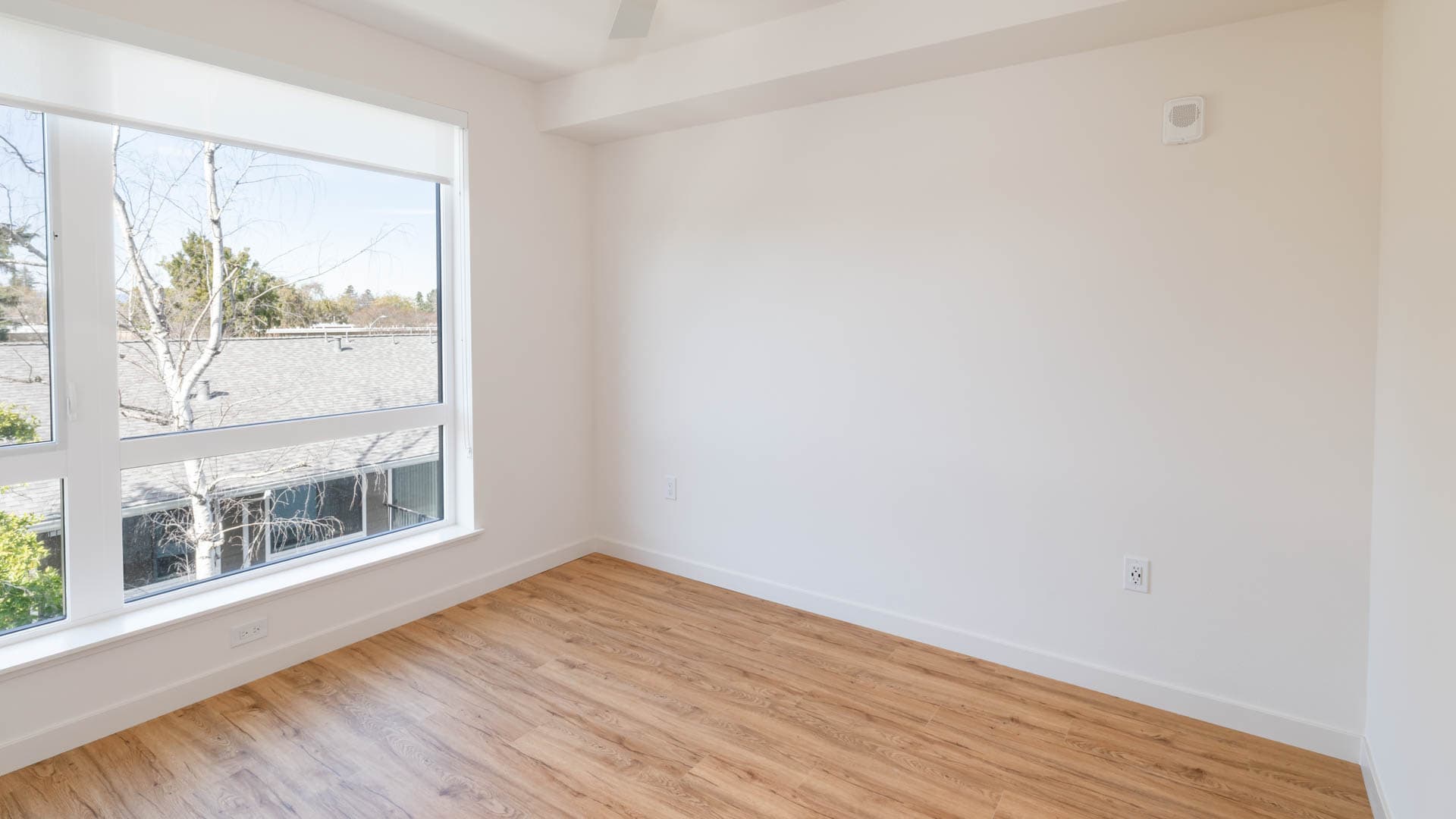 Lorien Ivy Apartments 3 of 11