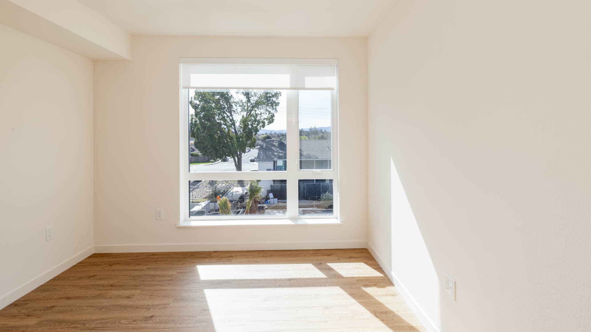 Lorien Ivy Apartments 6 of 11