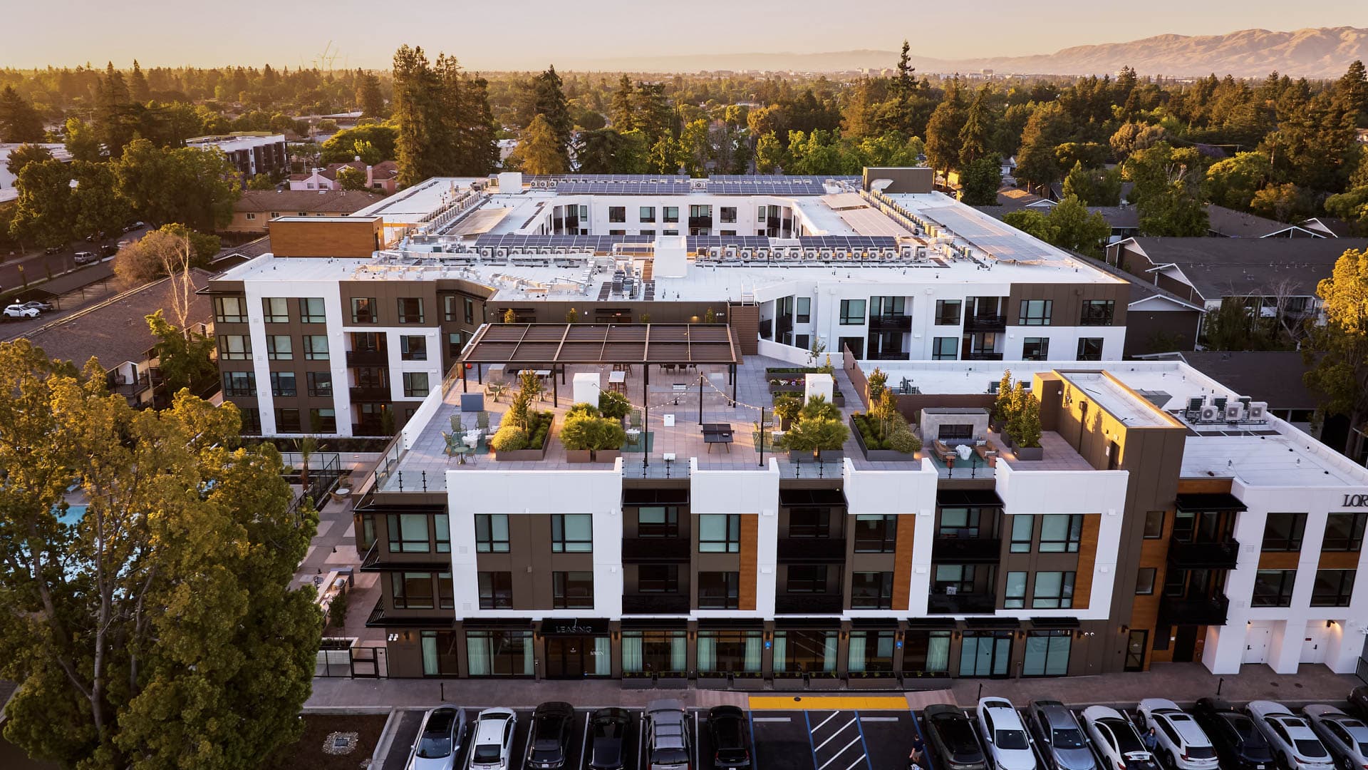 Lorien Ivy Apartments 66 of 114