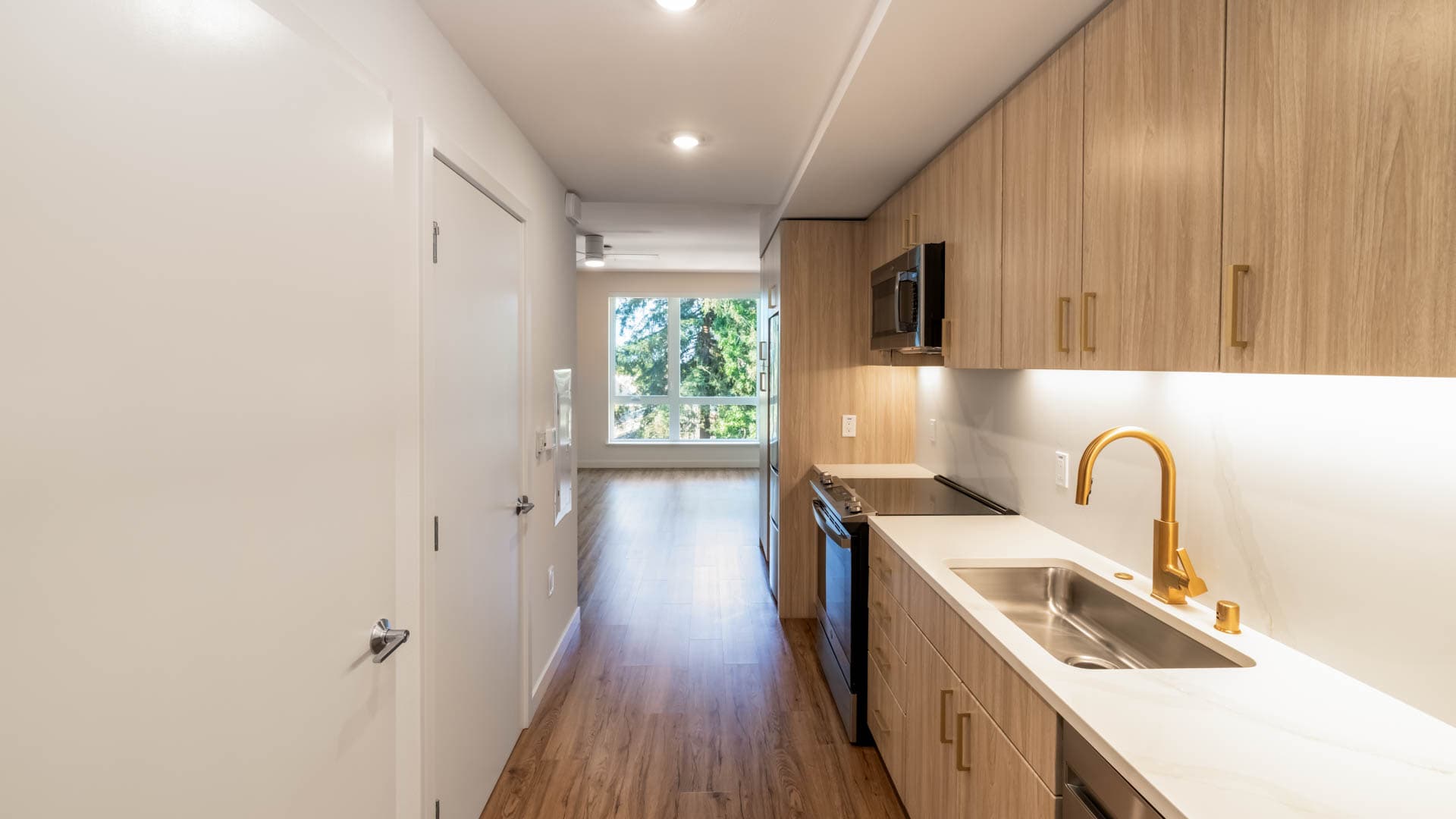 Lorien Ivy Apartments 4 of 7