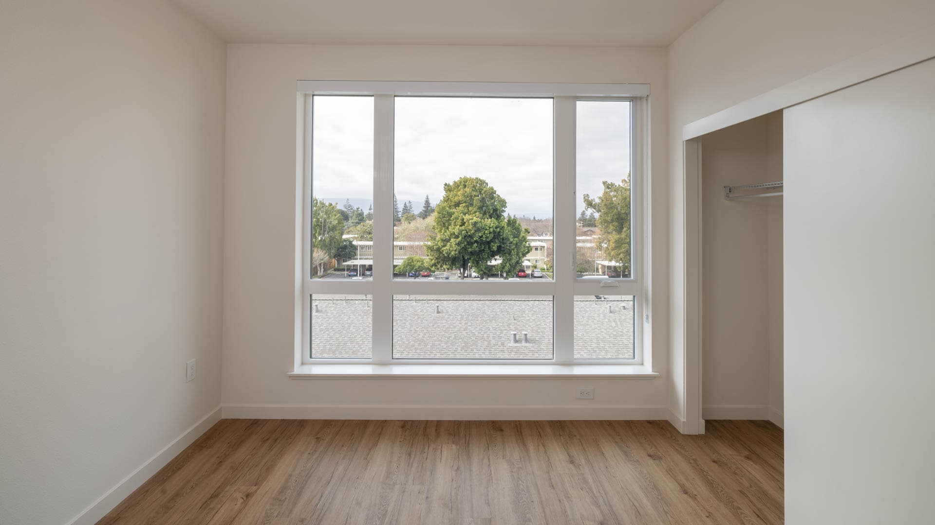 Lorien Ivy Apartments 5 of 12
