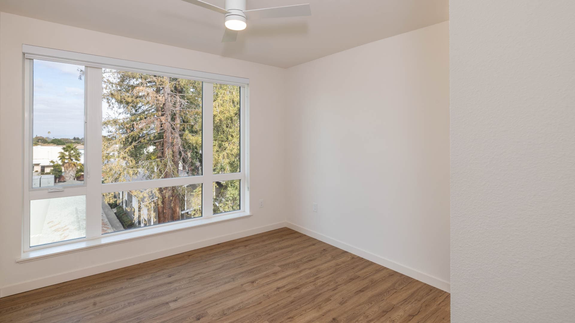 Lorien Ivy Apartments 6 of 12