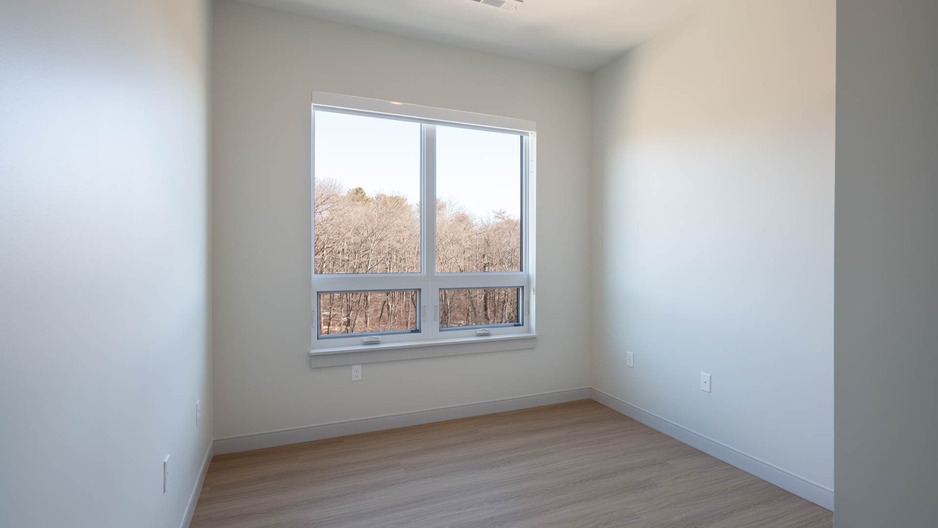 The Basin Apartments 4 of 11