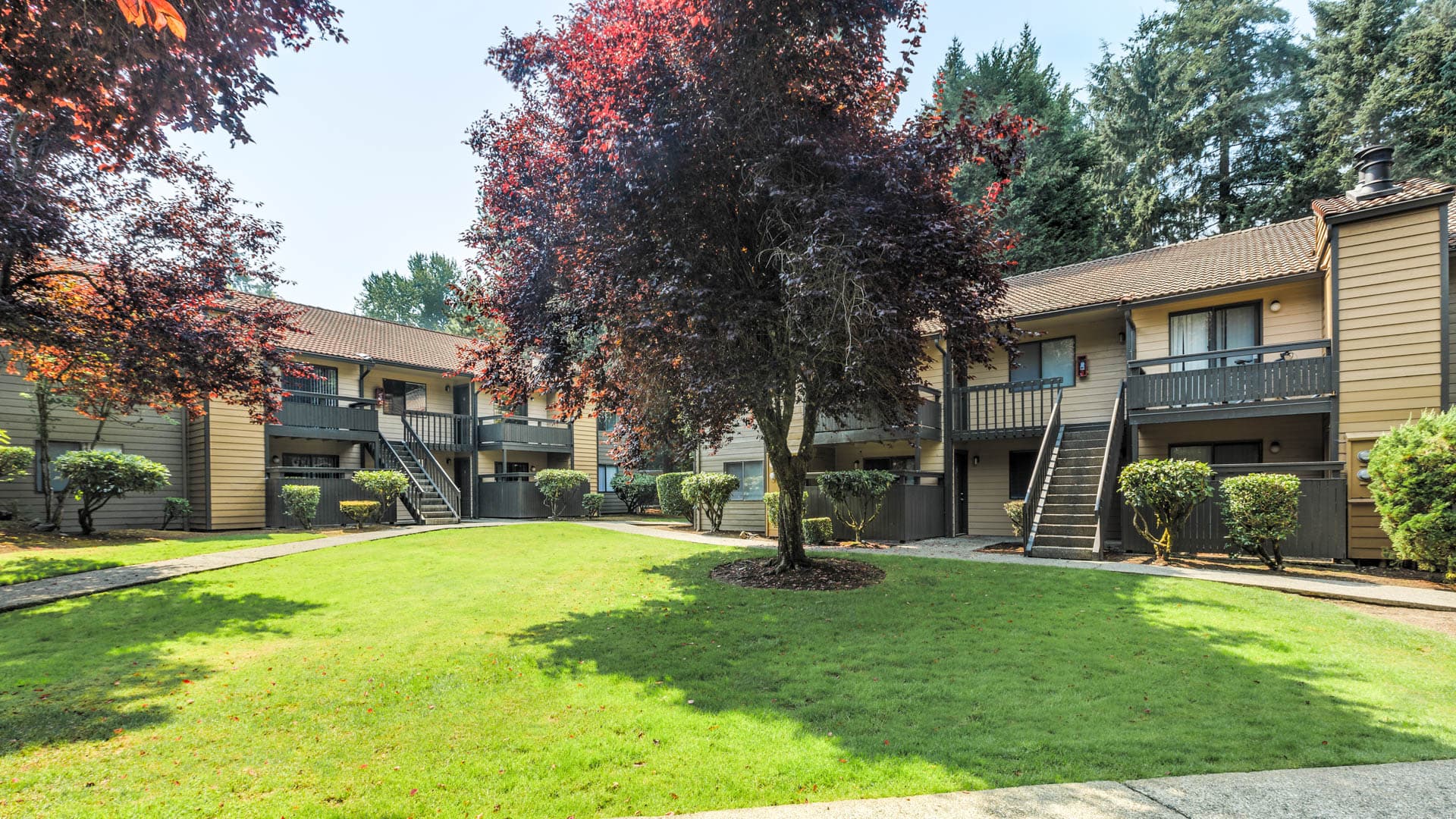 Bellevue Meadows Apartments 1 of 35