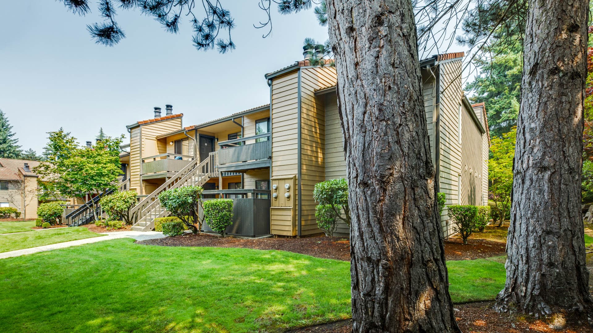 Bellevue Meadows Apartments 3 of 35