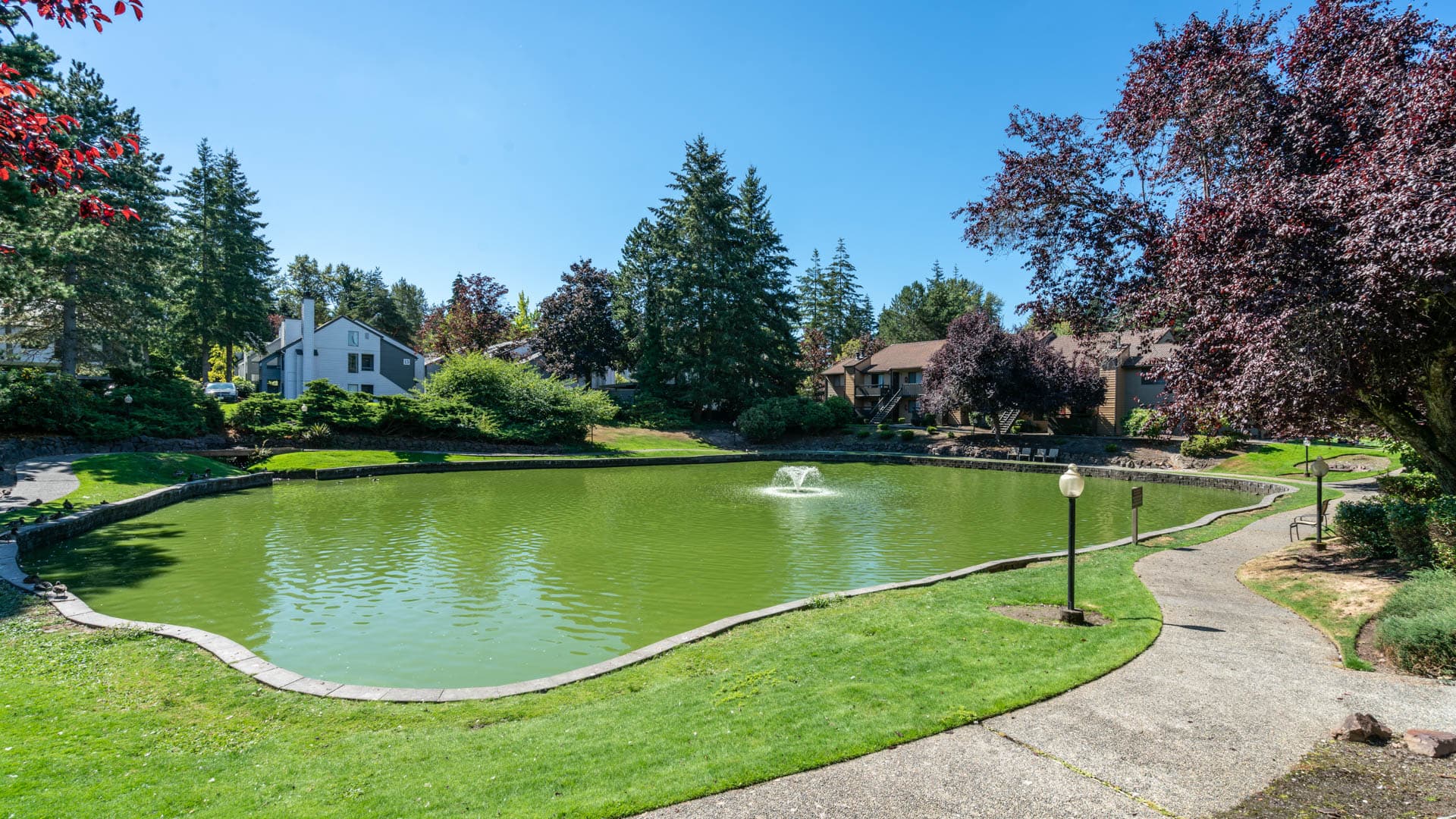 Bellevue Meadows Apartments 33 of 35