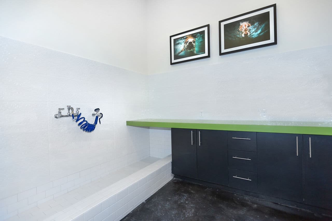 Sea Glass Apartments Destin Fl 9 of 16