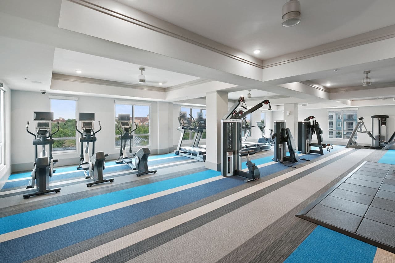 Vue At Belleair Clearwater Fl 15 of 26