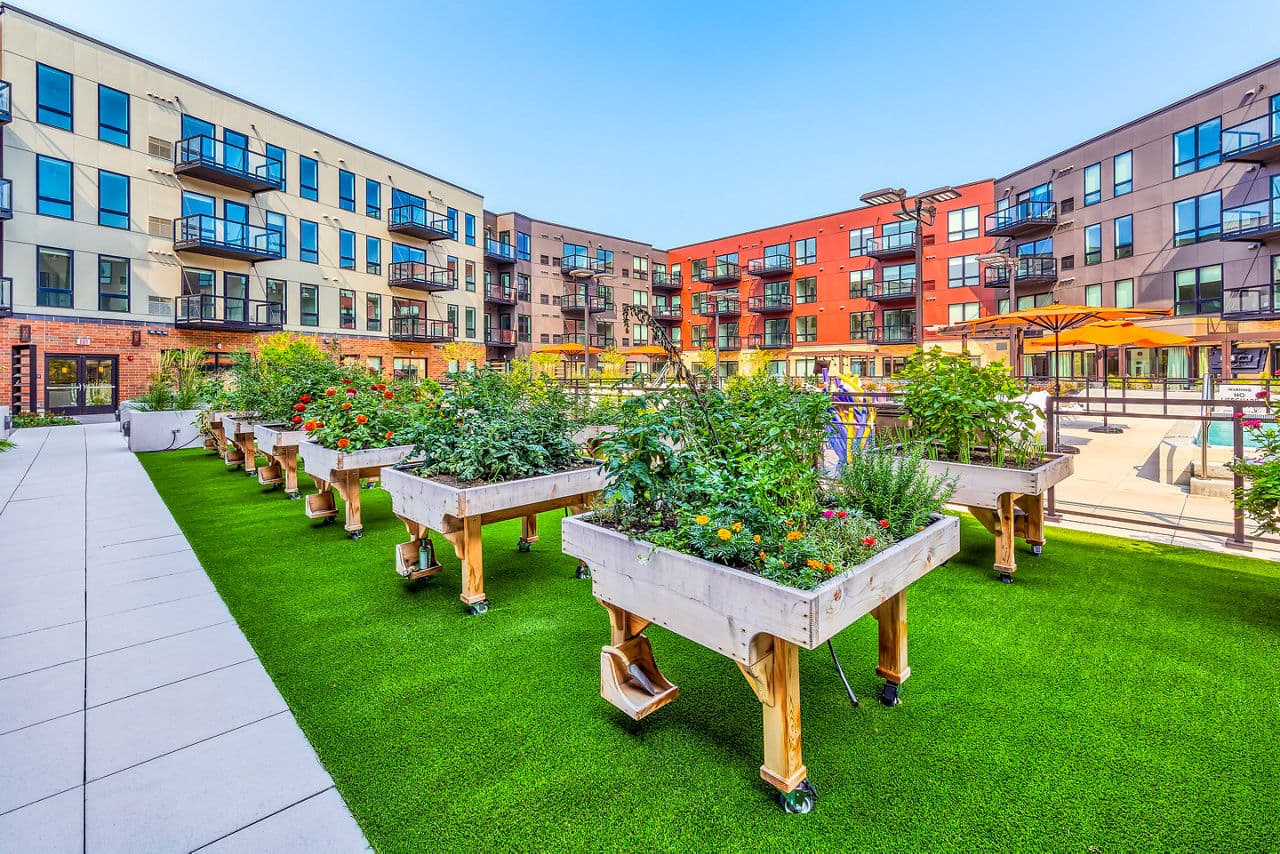 Avidor Glenview 6 of 15
