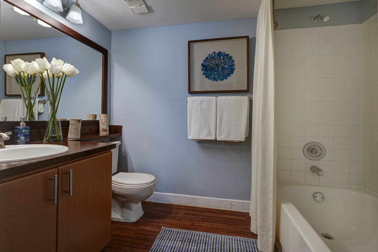 Plantation Colony Apartments Plantation Fl 22 of 24