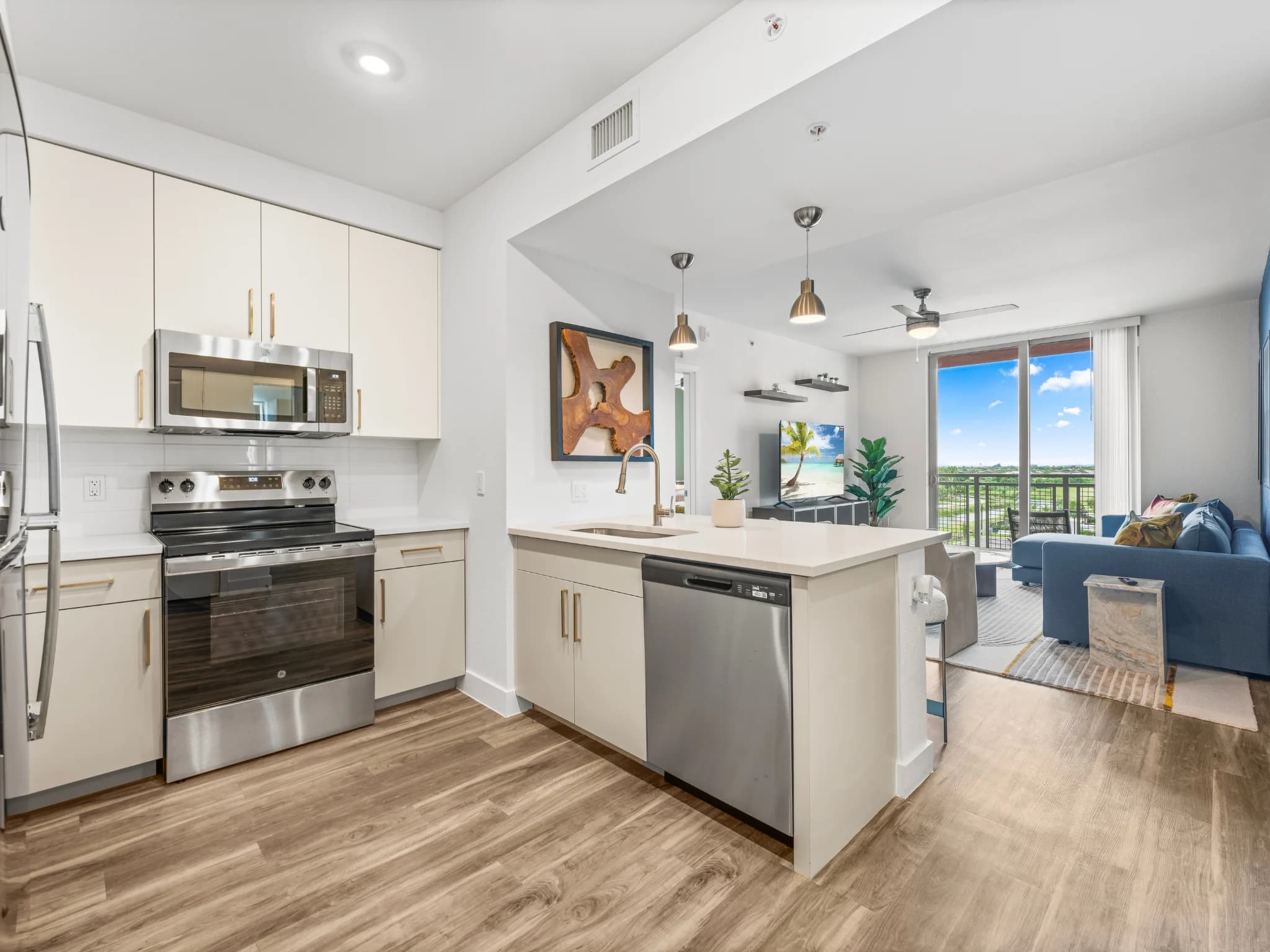 Vista Sur Luxury Apartments 1 of 2