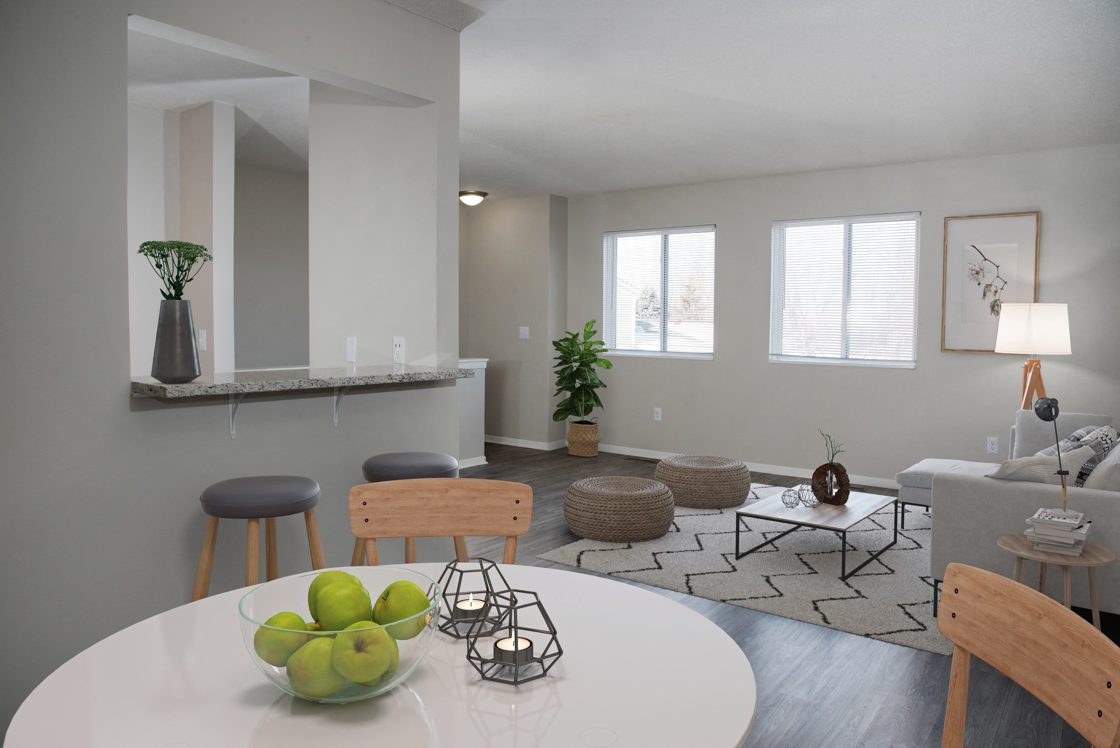 SouthFork Townhomes Flats 2 of 14