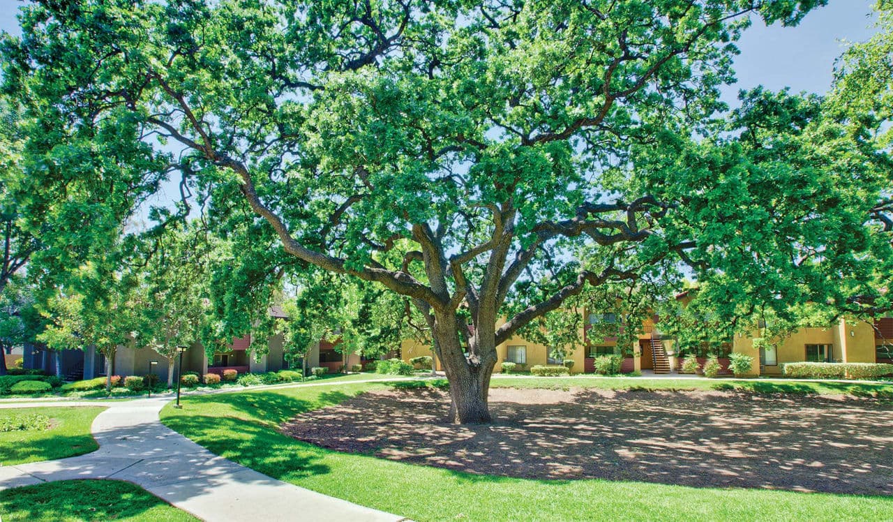 Indian Oaks 3 of 8