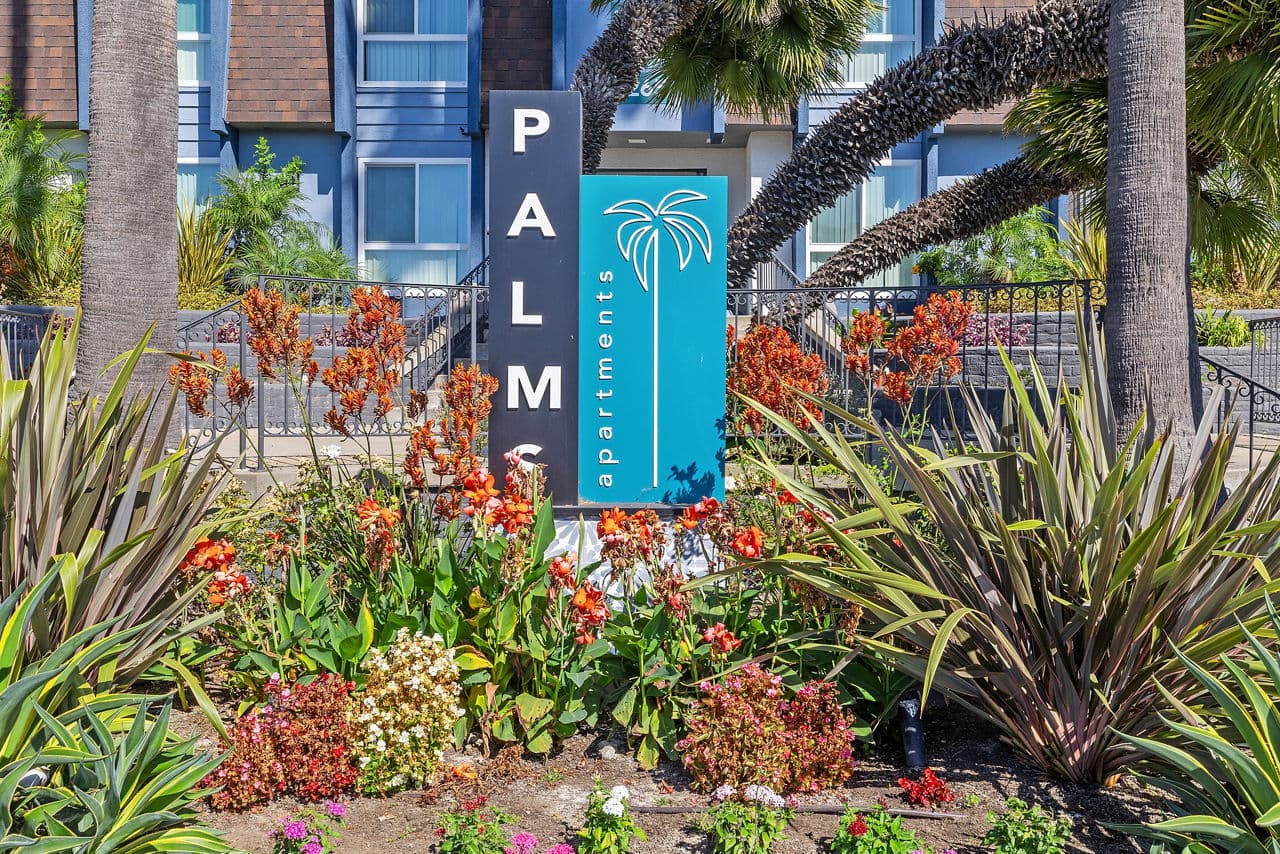 Palms Apartments 3 of 18