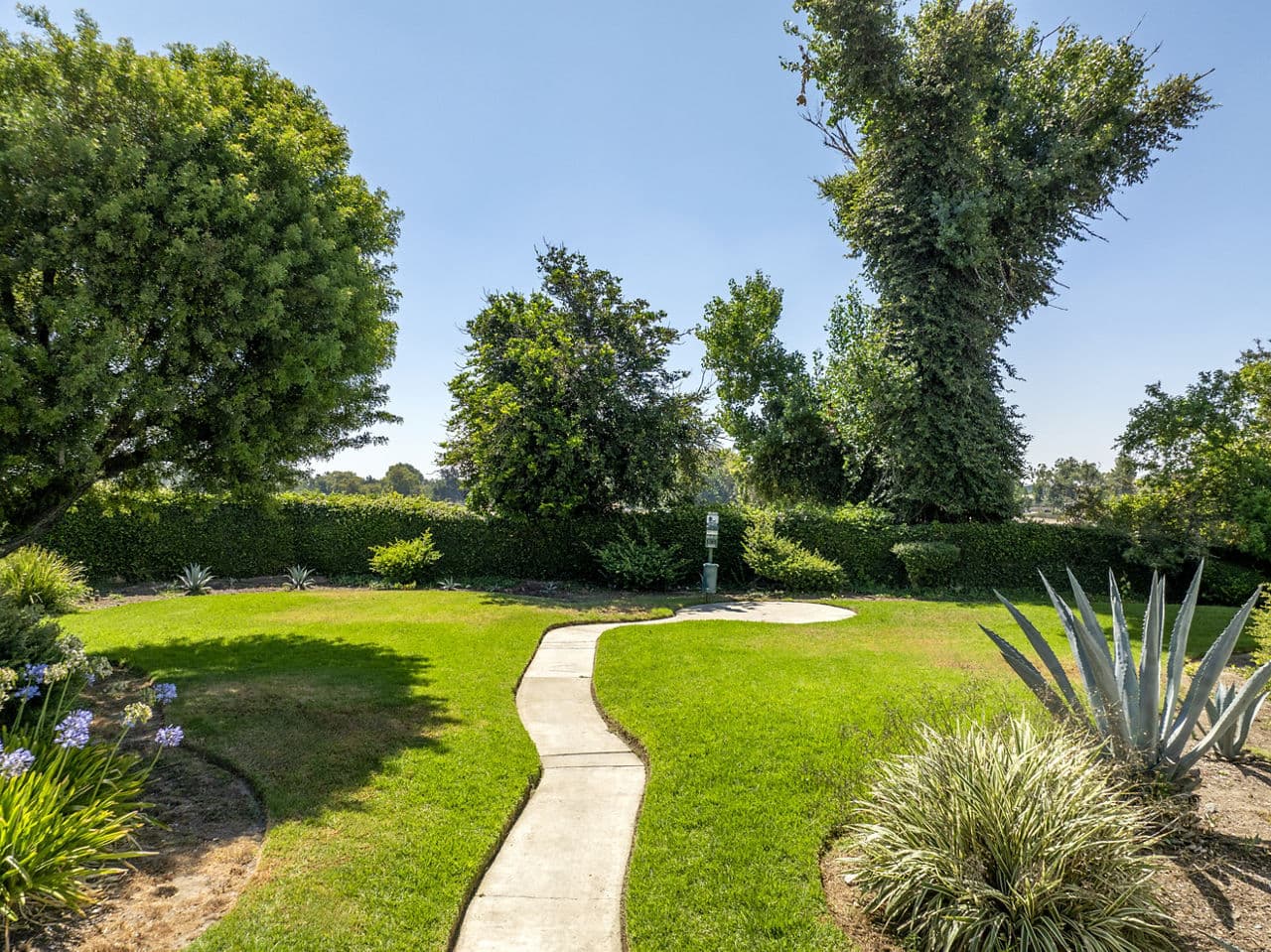 Rancho Vista 21 of 32