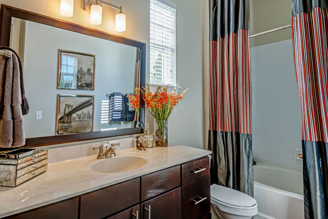 Whitehall Parc Apartment Homes 4 of 19