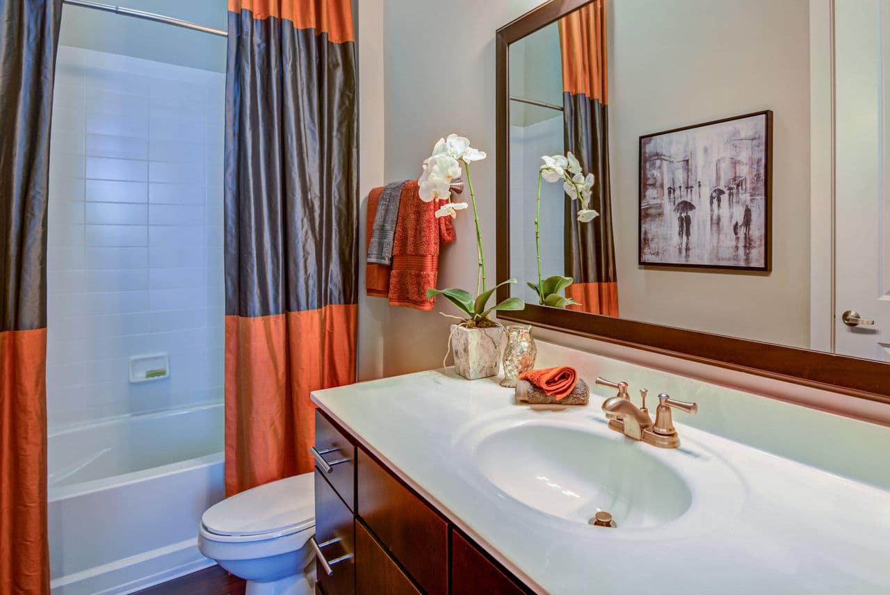 Whitehall Parc Apartment Homes 5 of 19