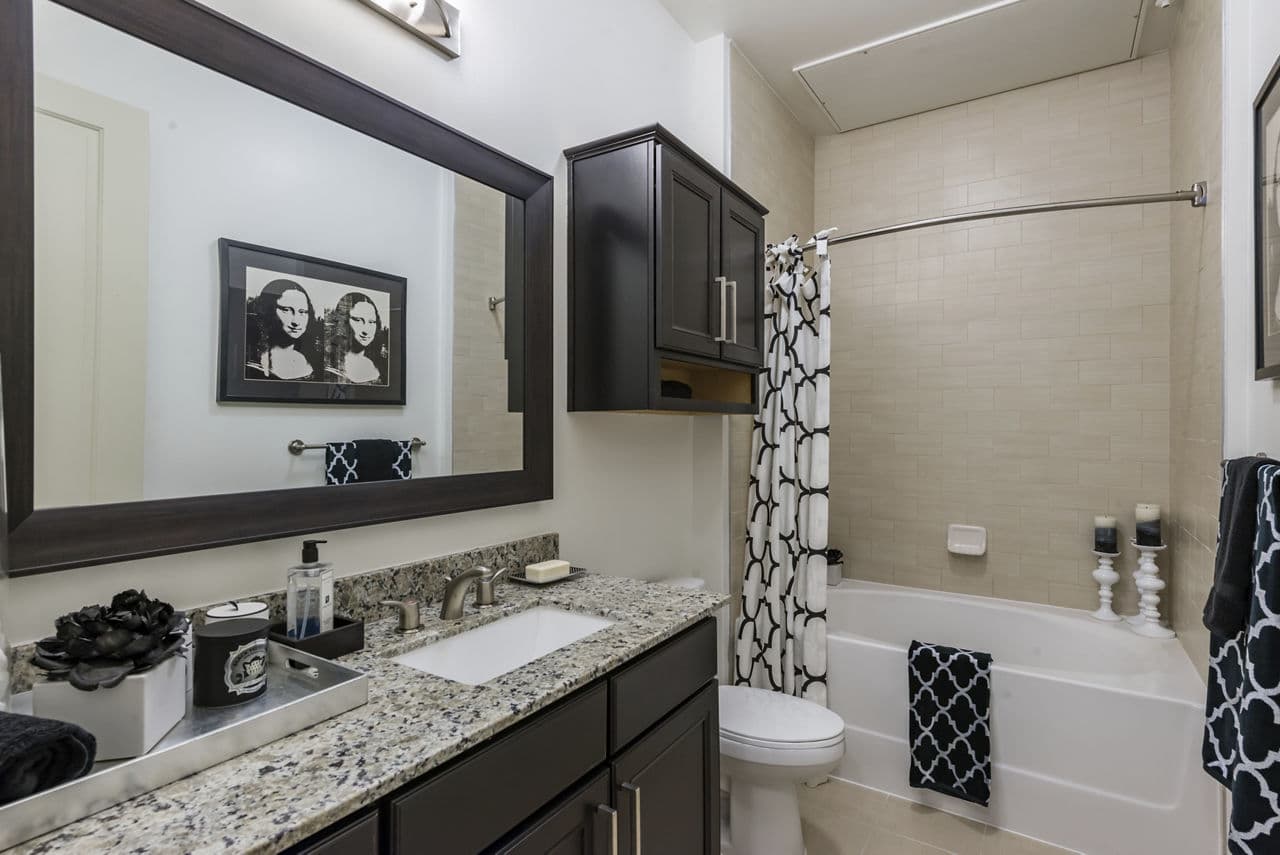 Waterwall Place Luxury Apartments Houston Tx 7 of 20
