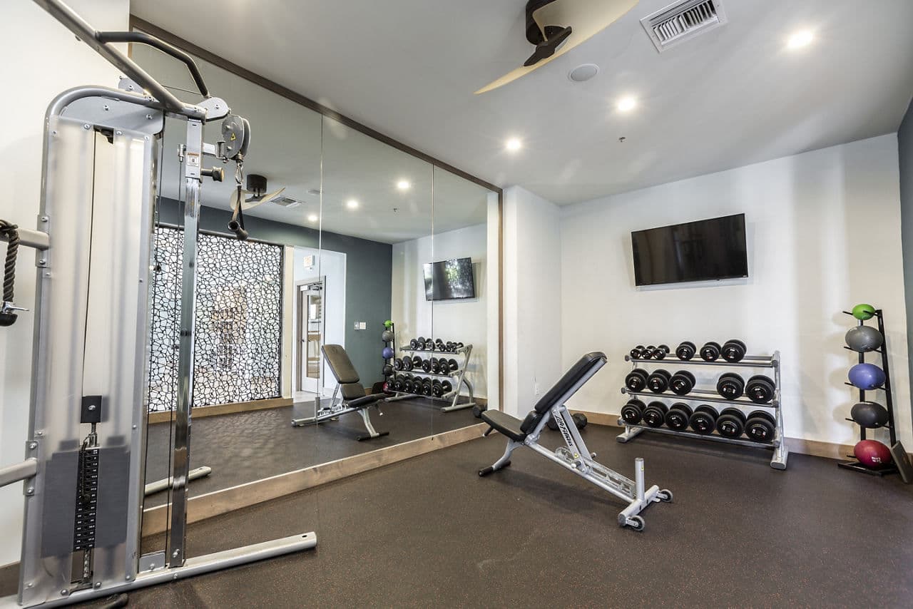 2 Bayshore Luxury Waterfront Apartments Tampa Fl 18 of 29