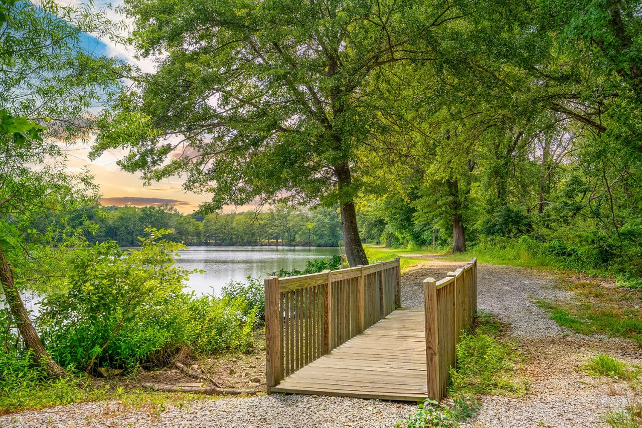 Homestead At Hartness Cottage Homes Greenville Sc 17 of 18