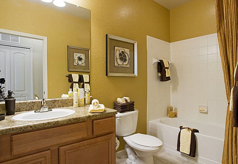 Aqua At Millenia Apartments Orlando Fl 5 of 20