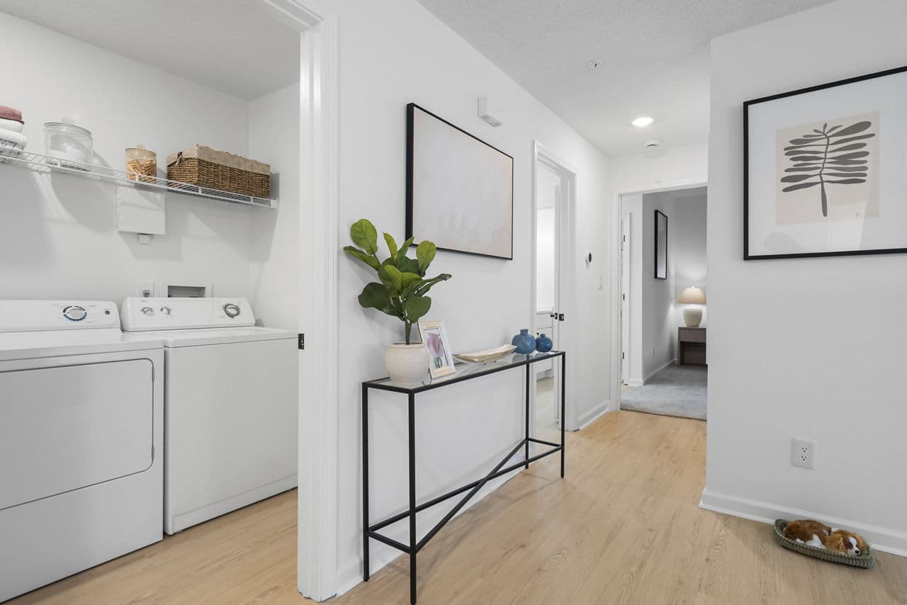 Avana Lexington 24 of 30
