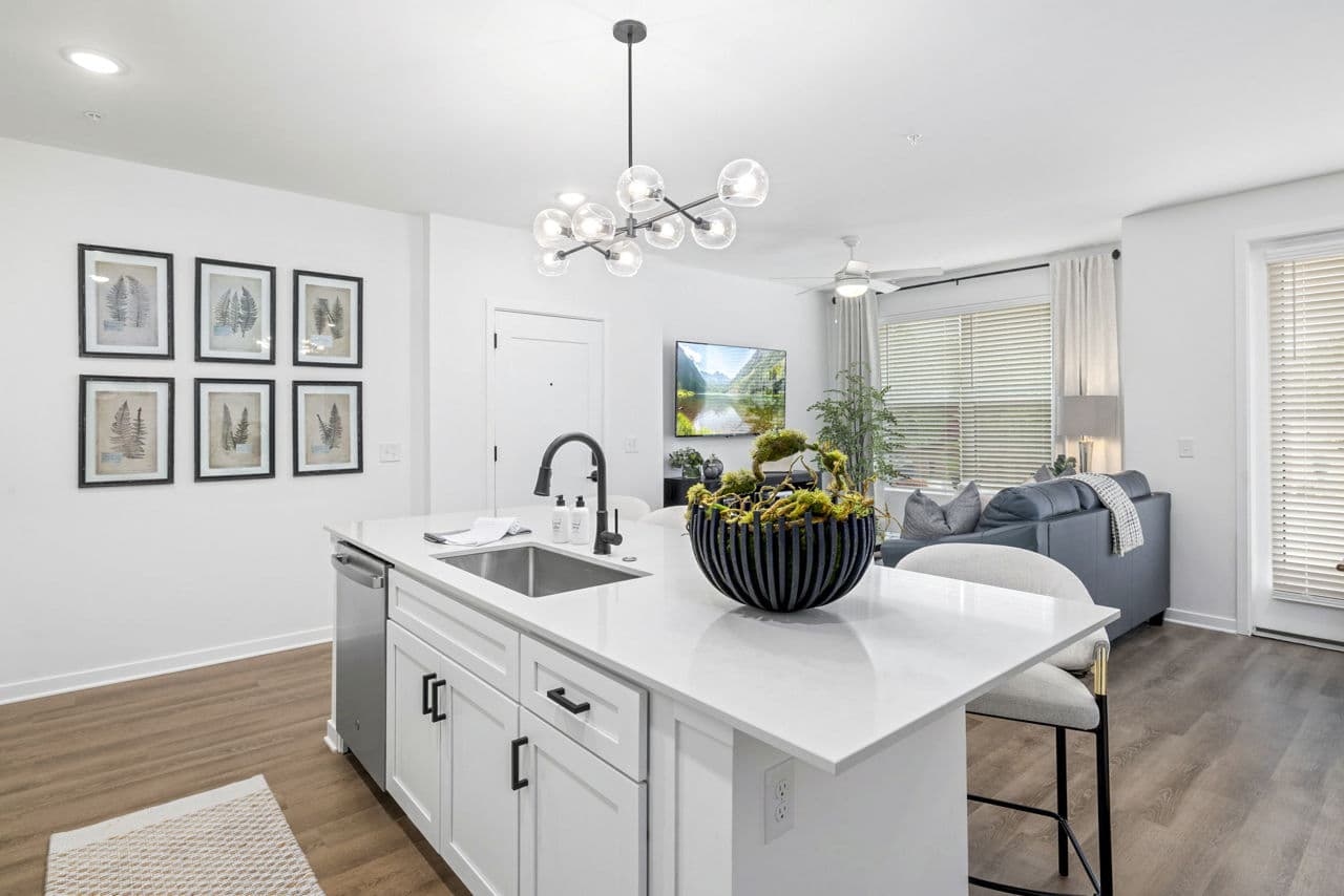 The District Collection Apartments 29 of 46
