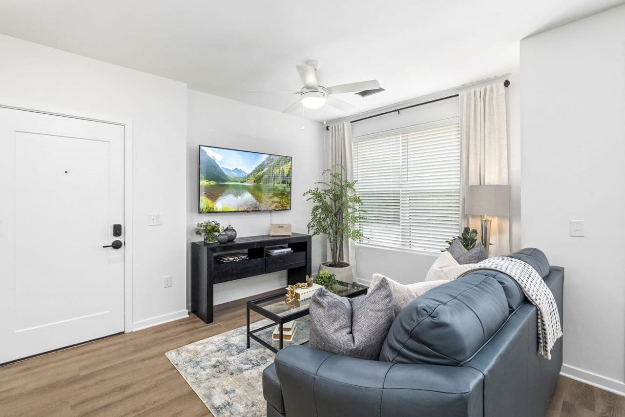 The District Collection Apartments 33 of 46