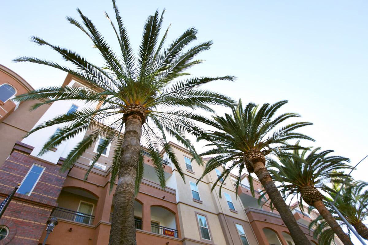 Tuscany Apartments 2 of 8