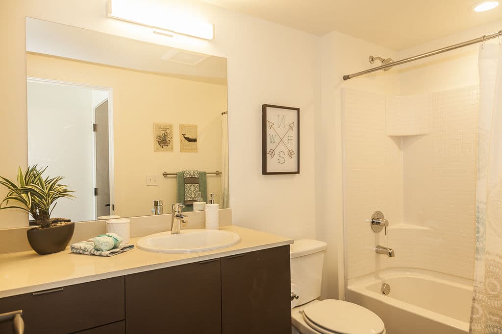 Ballard Public Lofts Market Apartments 6 of 6