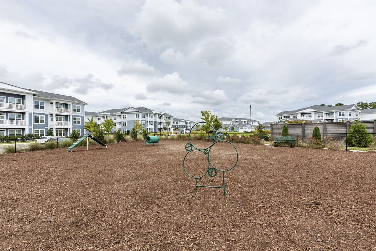 Element Barclay Apartments Wilmington Nc 6 of 20