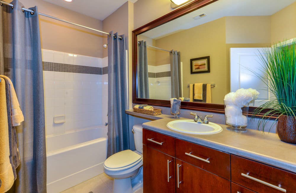 Avana City North Apartments Atlanta Ga 5 of 69