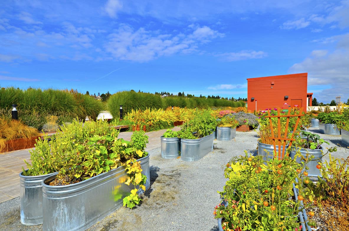 Forge West Seattle 15 of 17