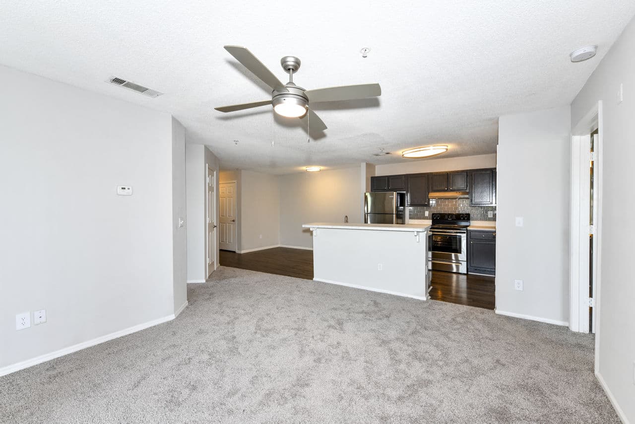 The Palmer Apartments 14 of 29