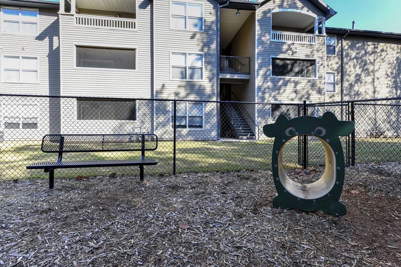 The Palmer Apartments 6 of 29