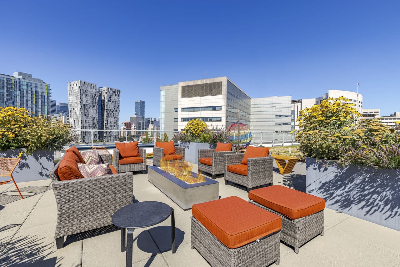 Zig Apartments 11 of 25