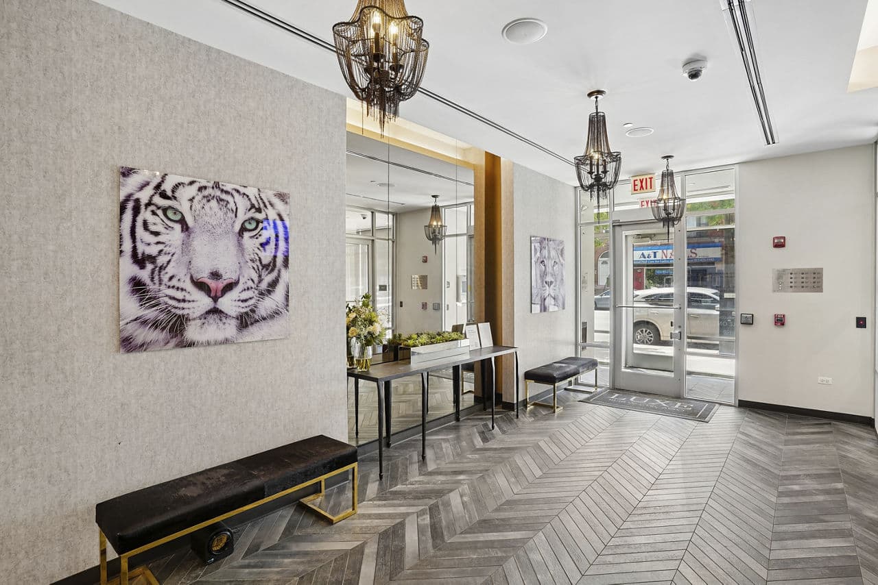 Luxe on Chicago Apartments 3 of 8