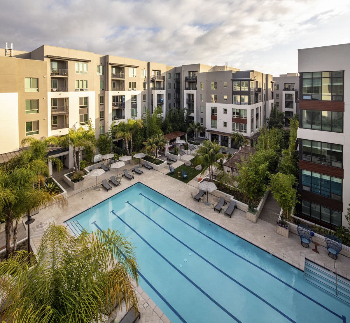 One Paseo Living 2 of 35