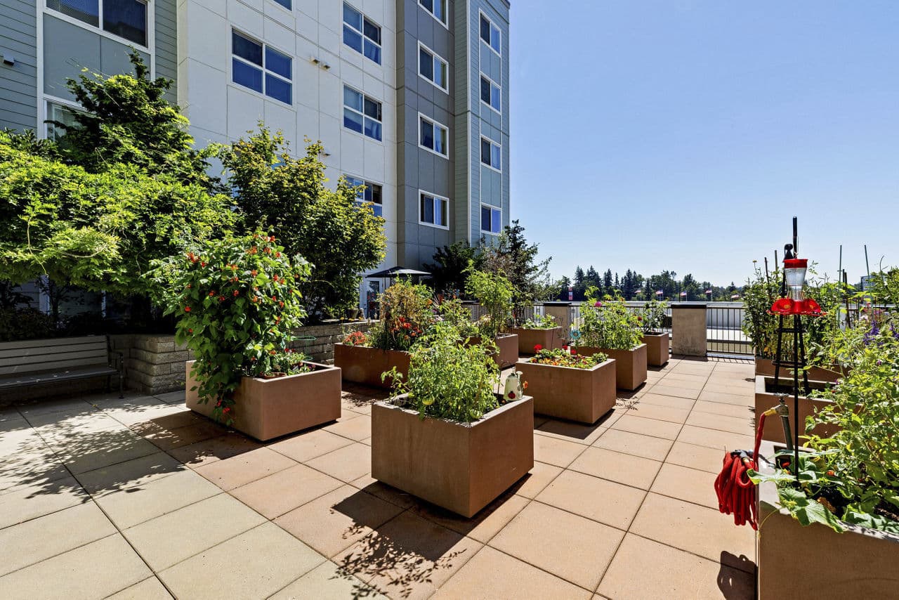 Destinations Lynnwood Lynnwood Wa 23 of 32