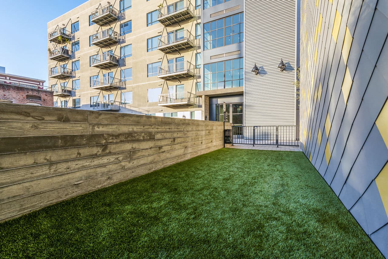 AMP Lofts 14 of 23